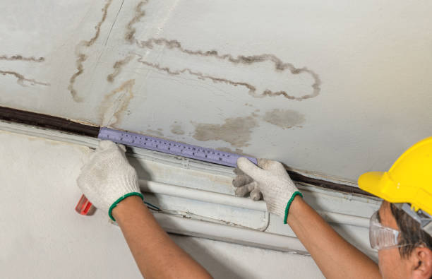 Reliable Water Damage contractor in Totowa, NJ by Water Damage Irwin